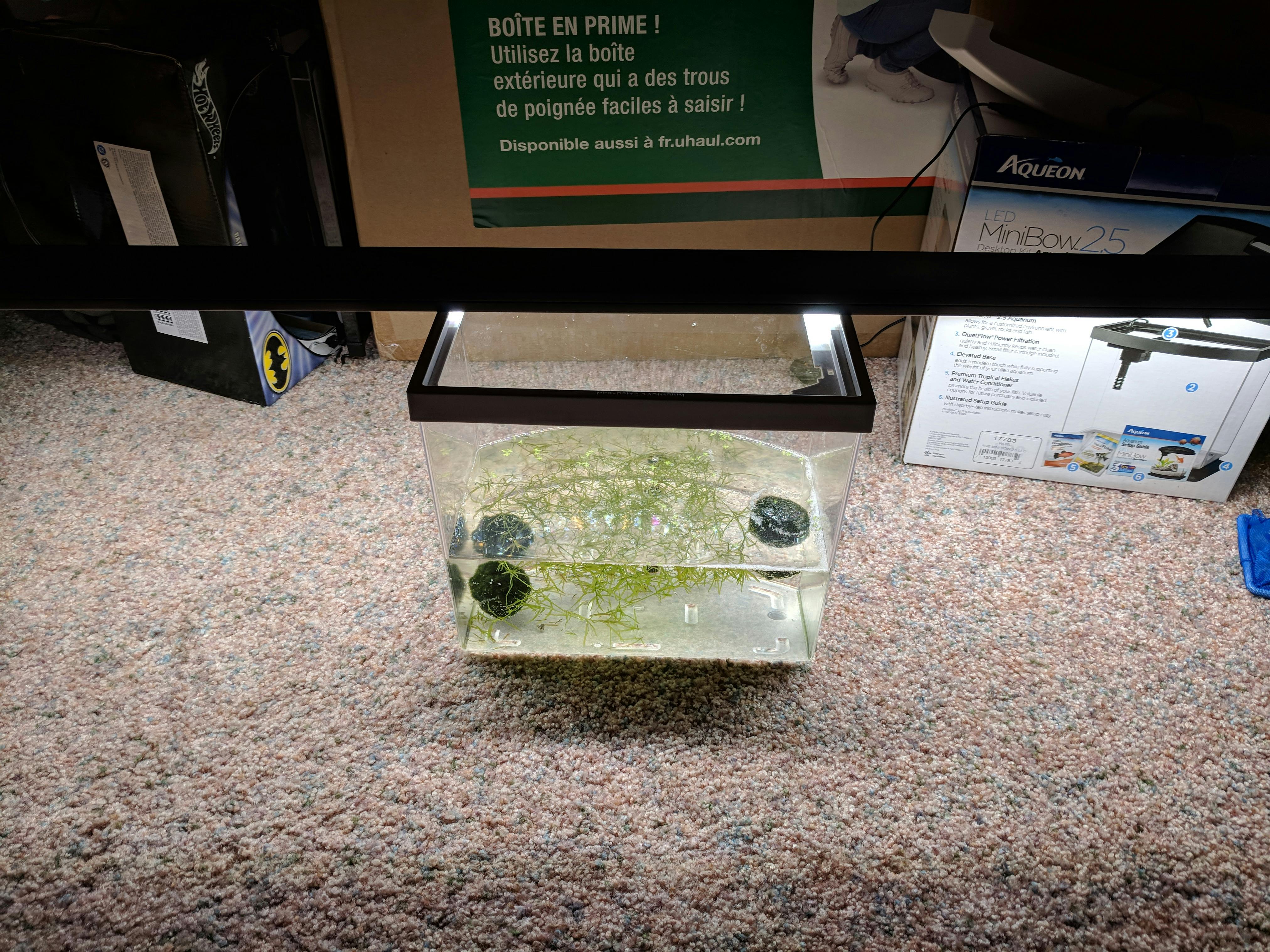 Fluval Plant 3.0 LED Light For Sale