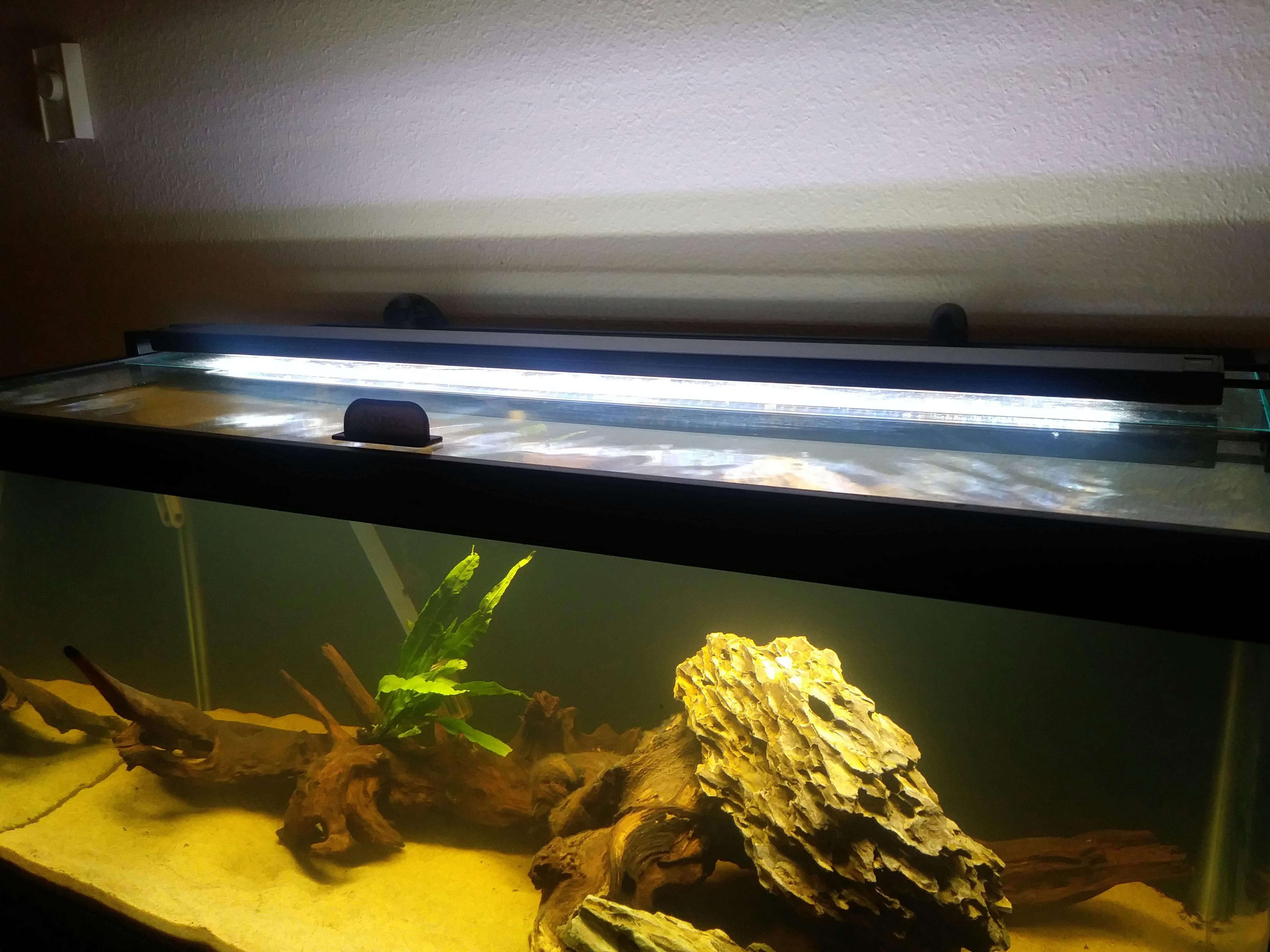Fluval Plant 3.0 LED Light For Sale