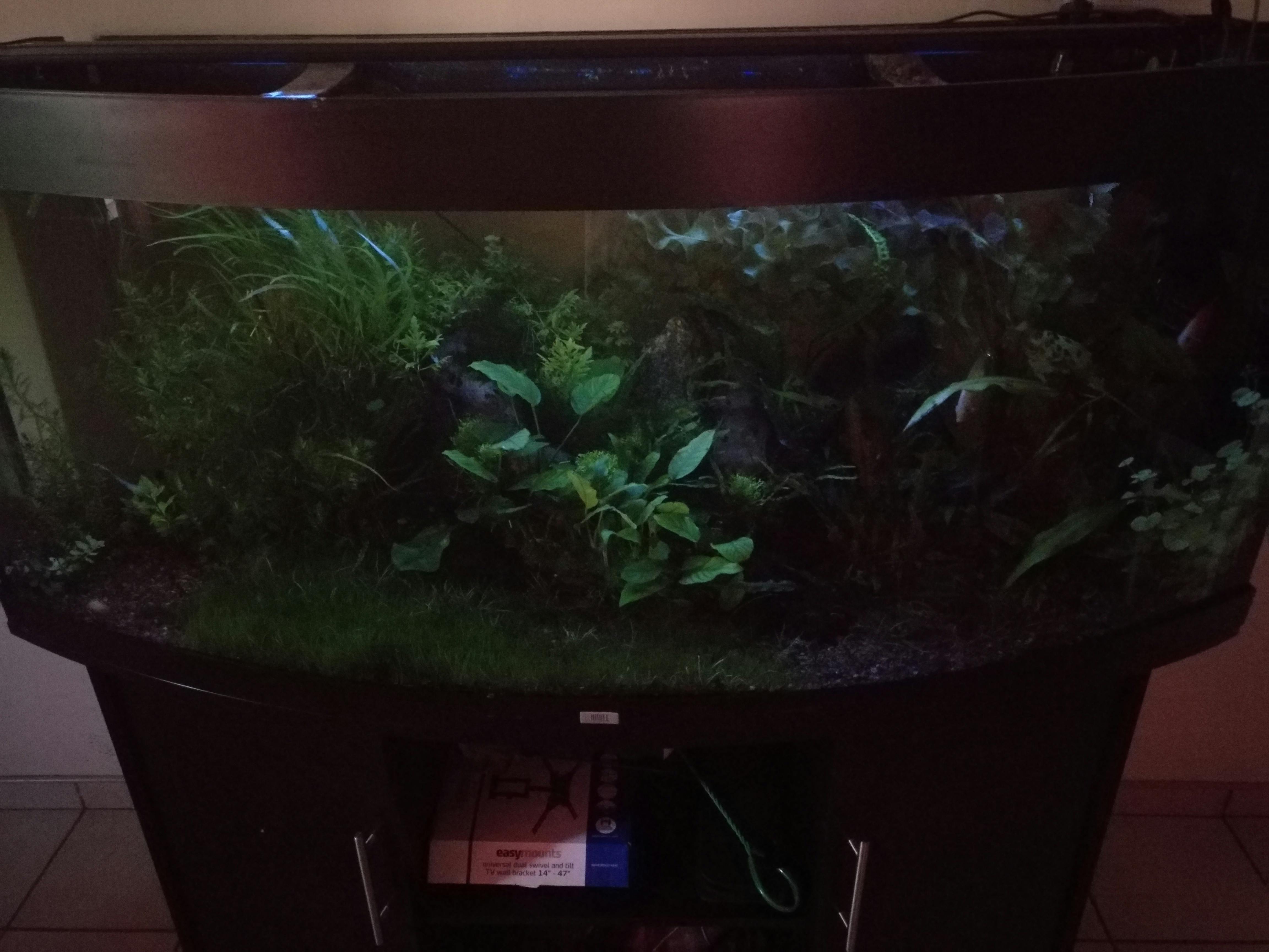 Fluval Plant 3.0 LED Light For Sale