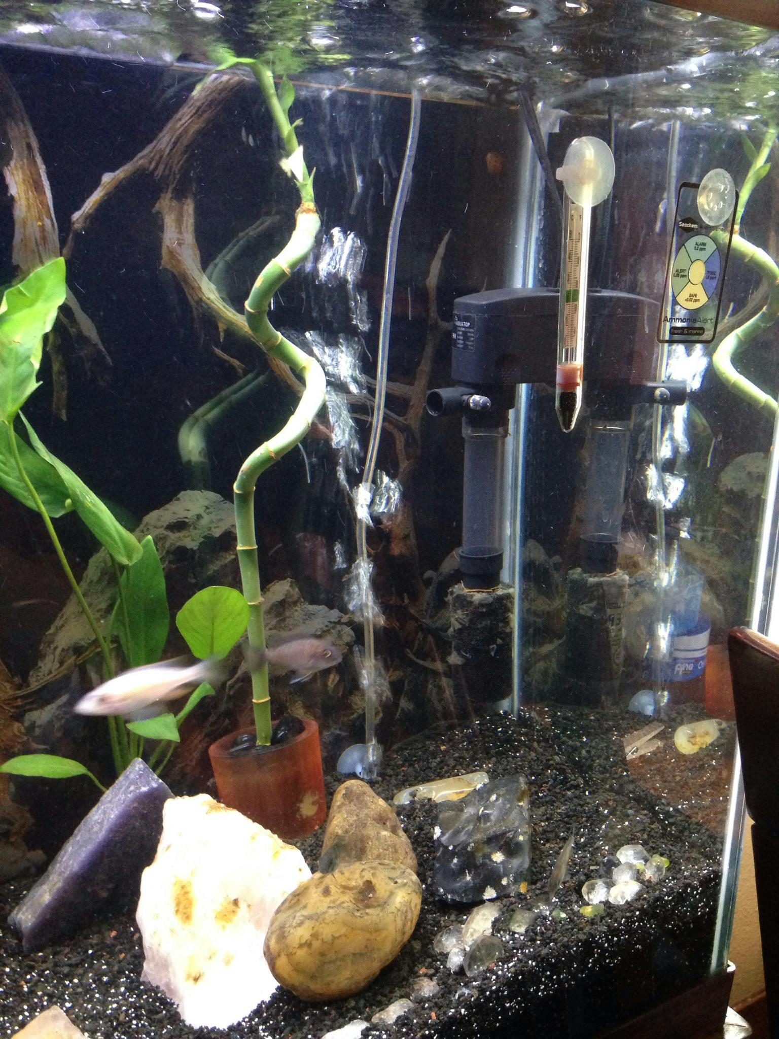 aquarium co op aquatop