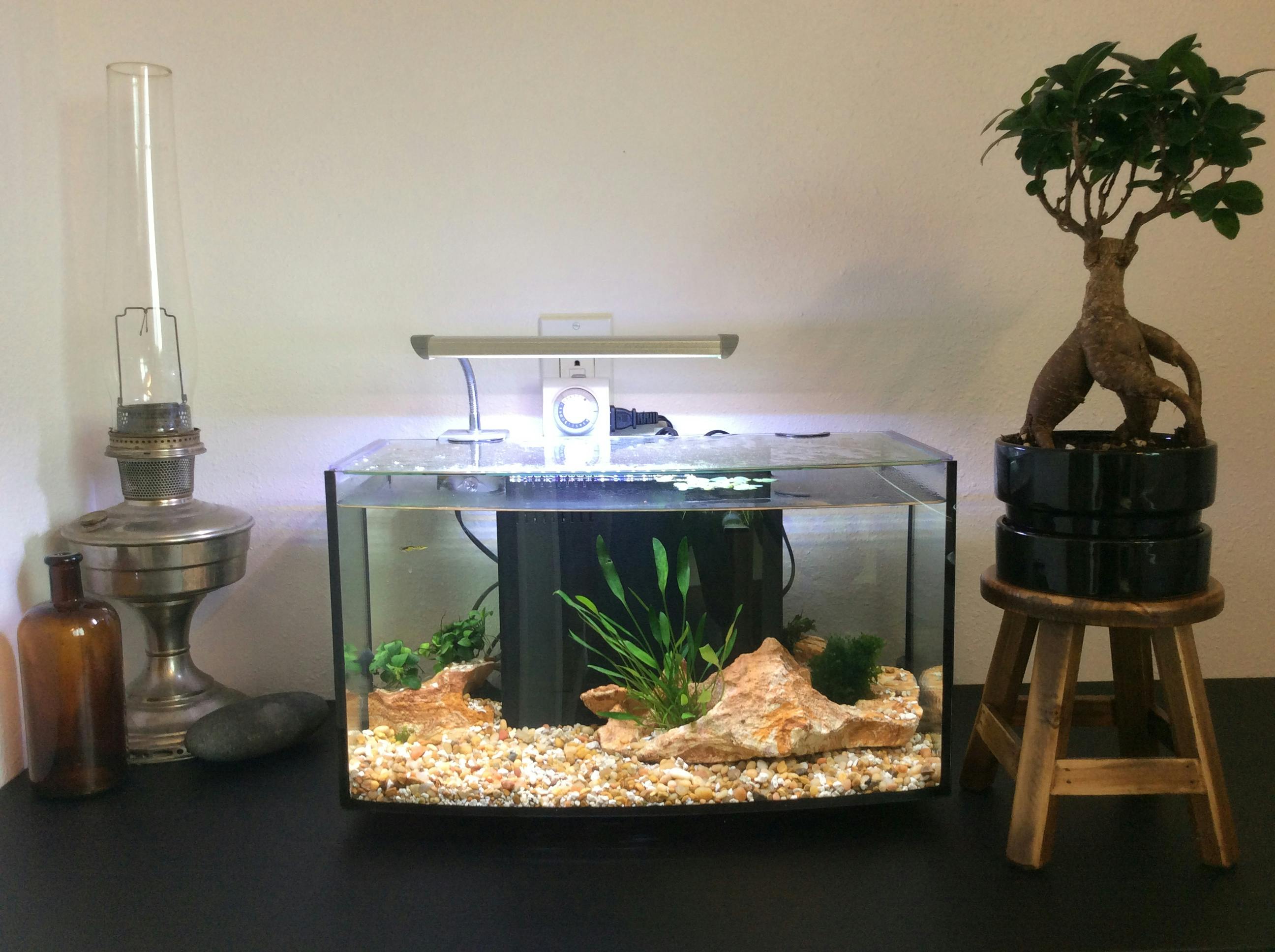aquarium co op finnex