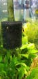 Medium Pre Filter Sponge
