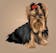 Digital Cartoon Art File