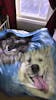 Custom Pet Fleece Blanket