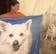 Custom Pet Fleece Blanket