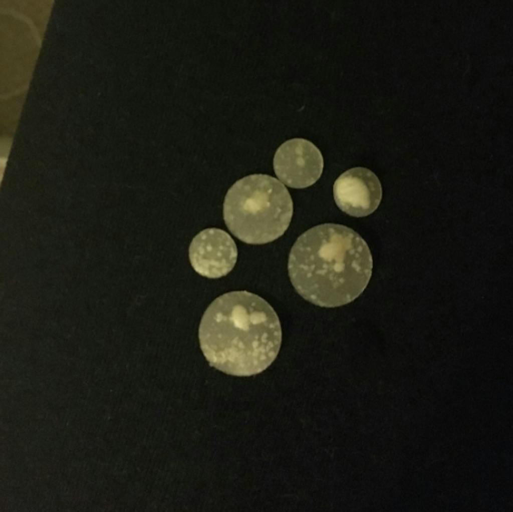 Patch Me (if You Can)™ Acne Patches for Sale Buy Pimple Patch