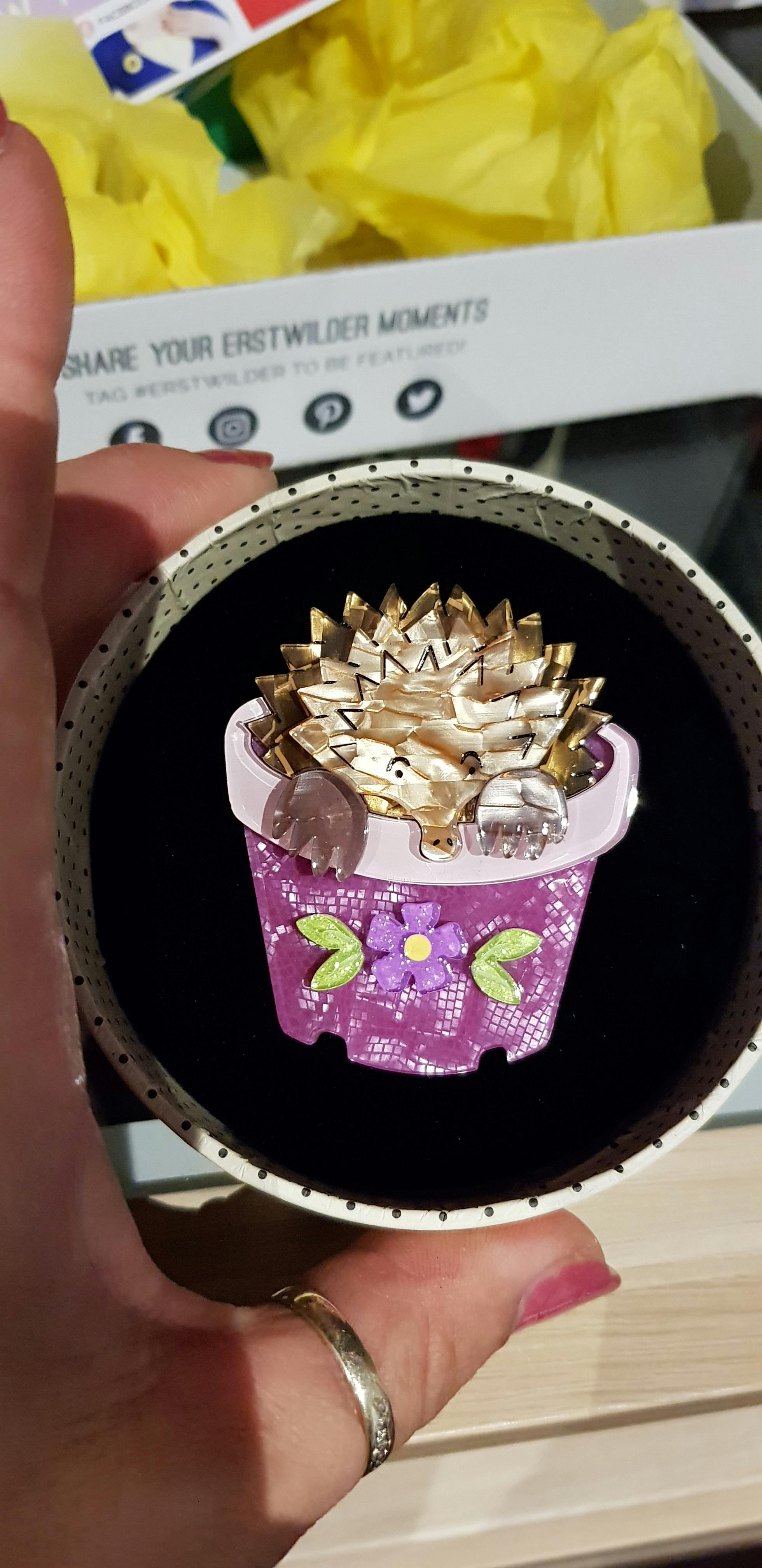 Erstwilder Brooches Quirky Gifts Acrylic Jewellery 9