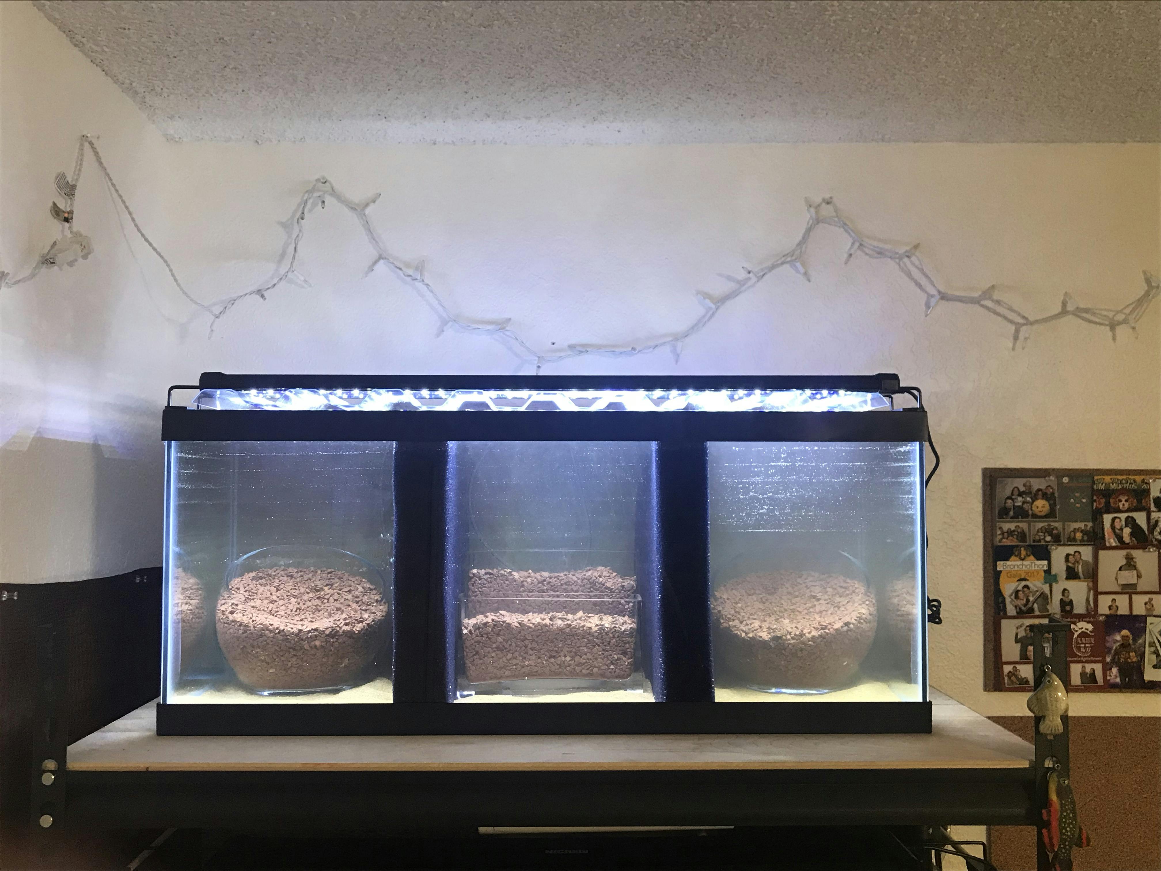 Sponge Tank Divider 20 Gallon Long Flip Aquatics