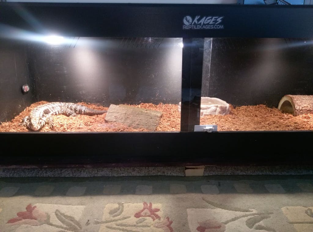 6'x2'x2' PVC Reptile Cages Custom Reptile Kages Enclosures