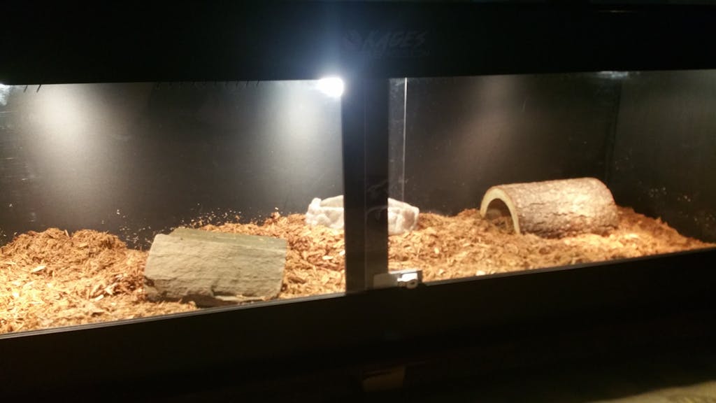 6'x2'x2' PVC Reptile Cages Custom Reptile Kages Enclosures