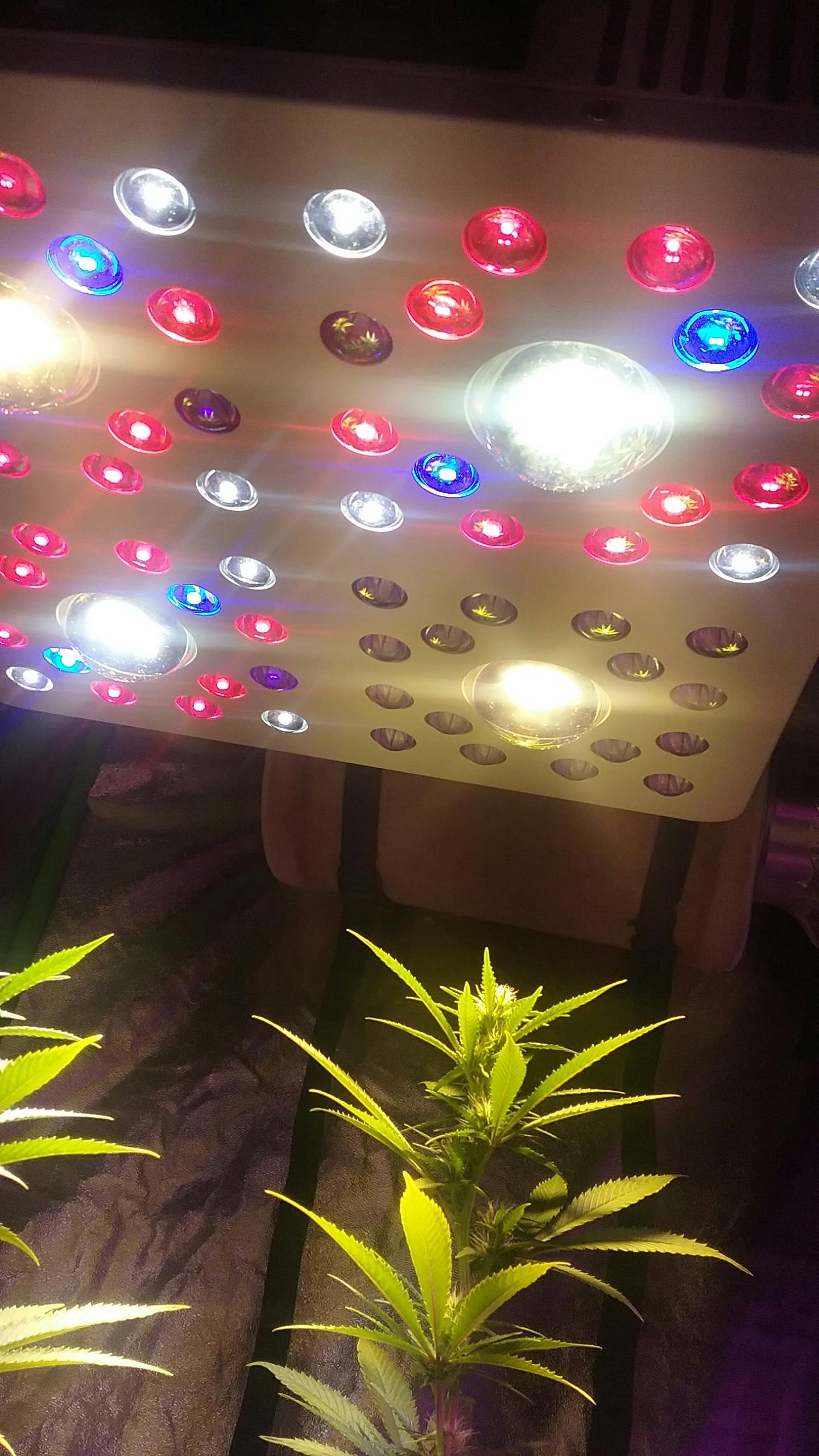 optic led optic 4 grow light led grow lights depot optic 4 grow light