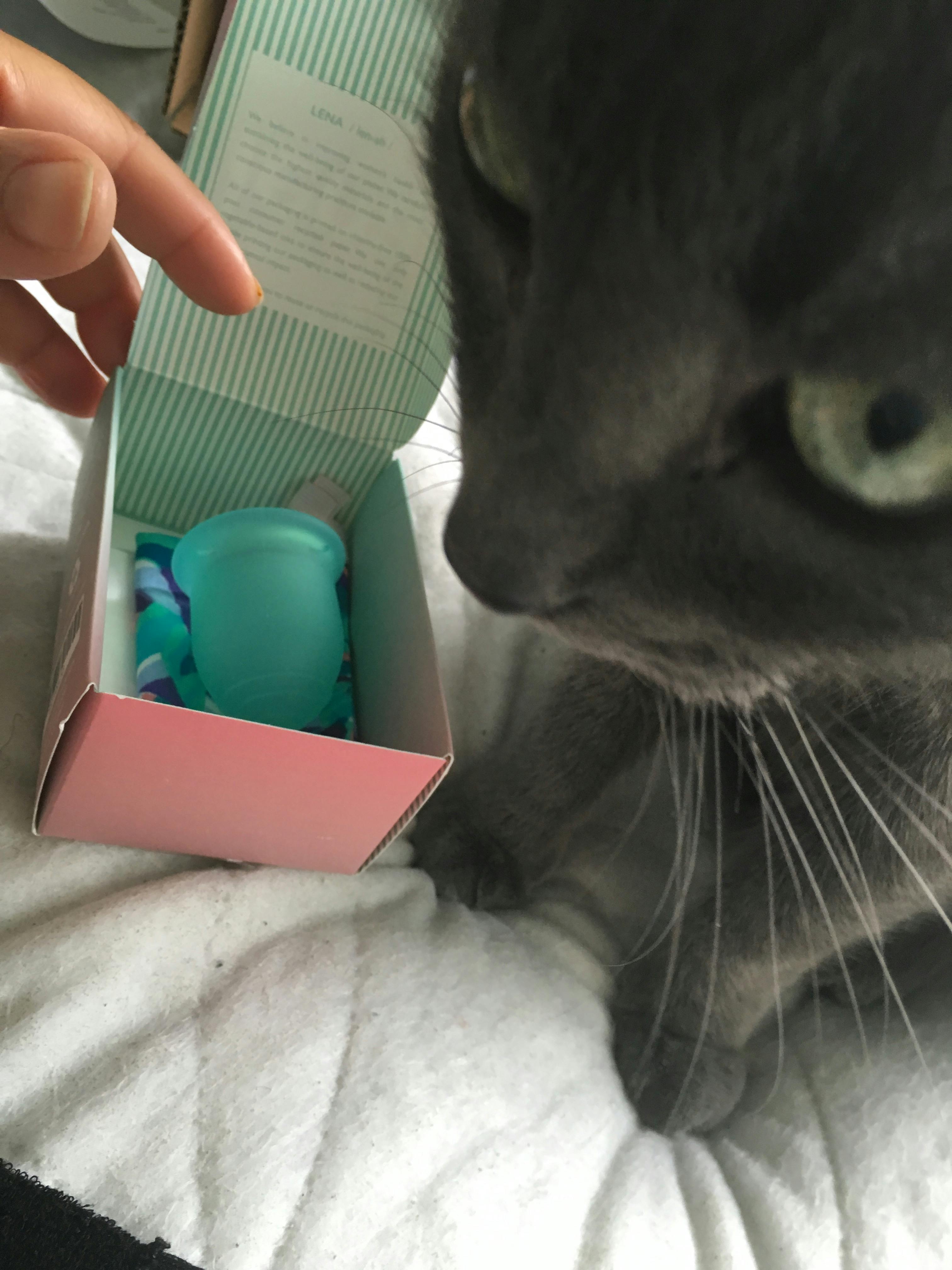 LENA Cup Sensitive menstrual cup