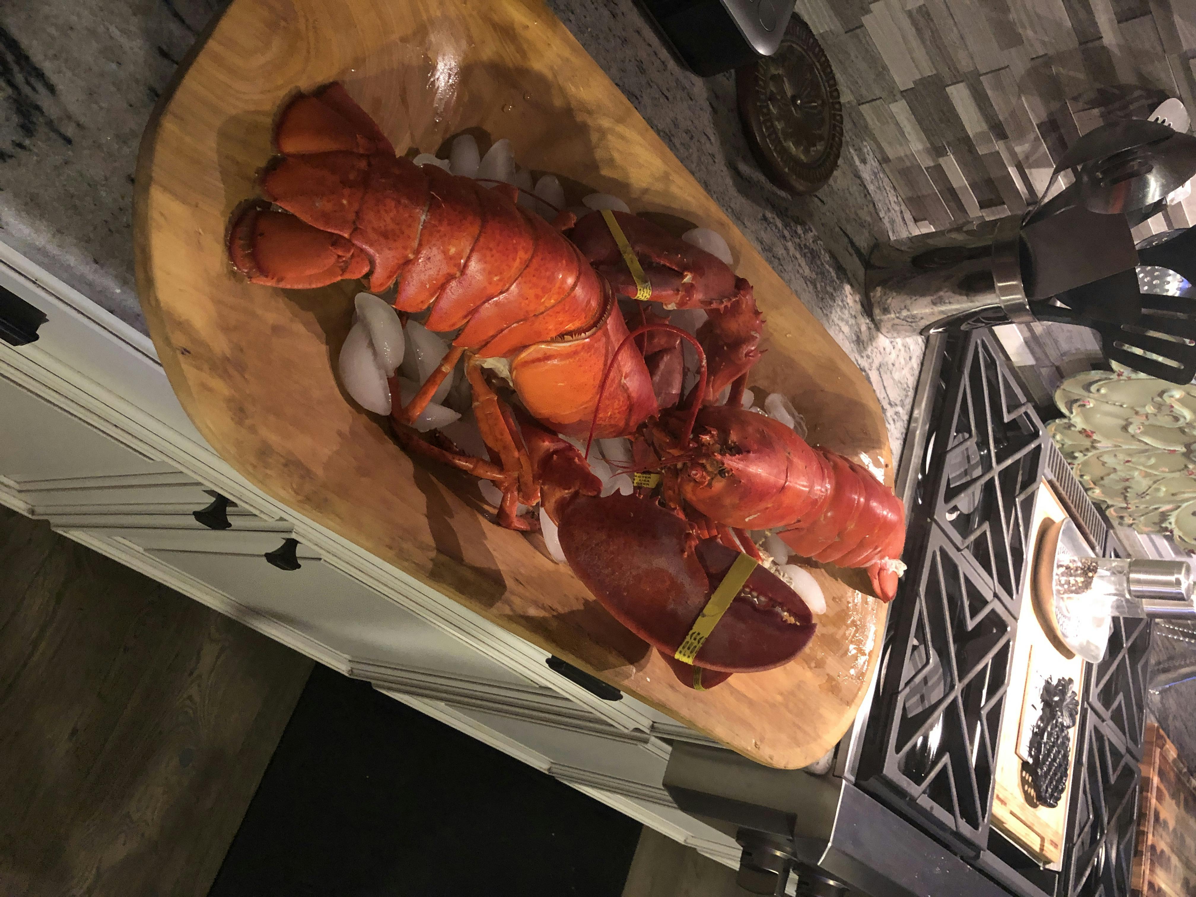 Buy Live 1 1/2 Lb Lobster Online | Lobsteranywhere.com