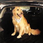Pawmanity Cargo Liner