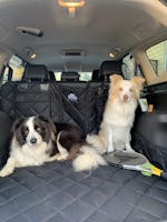 Pawmanity Cargo Liner