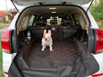 Pawmanity Cargo Liner