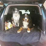 Pawmanity Cargo Liner