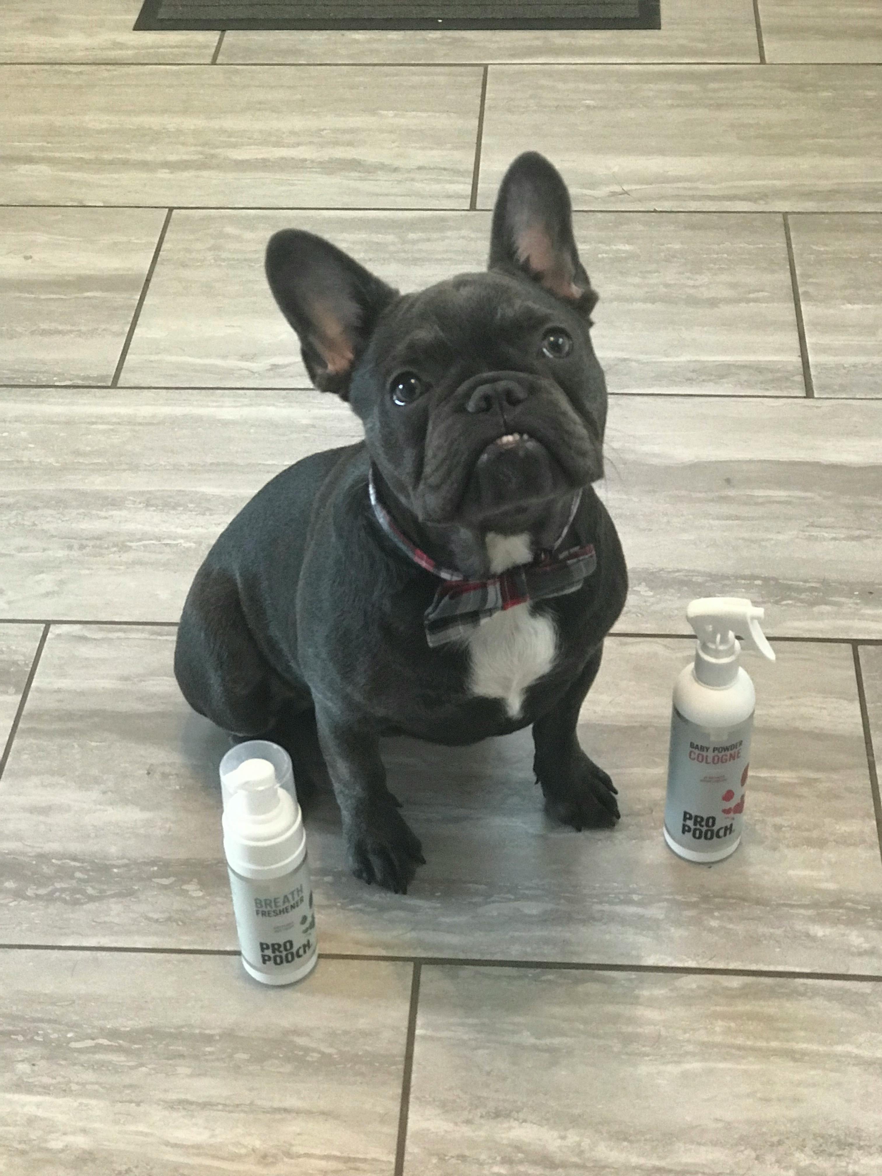 pro pooch breath freshener