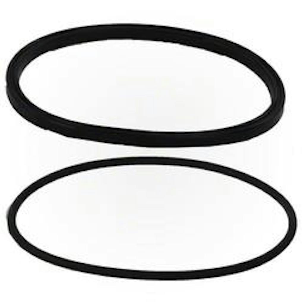 Jandy PlusHP Lid Seal with Oring R0449100 Jandy R0449100 — Sunplay