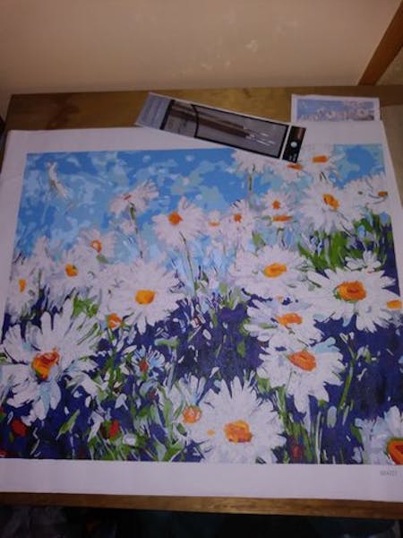 Field of Daisies