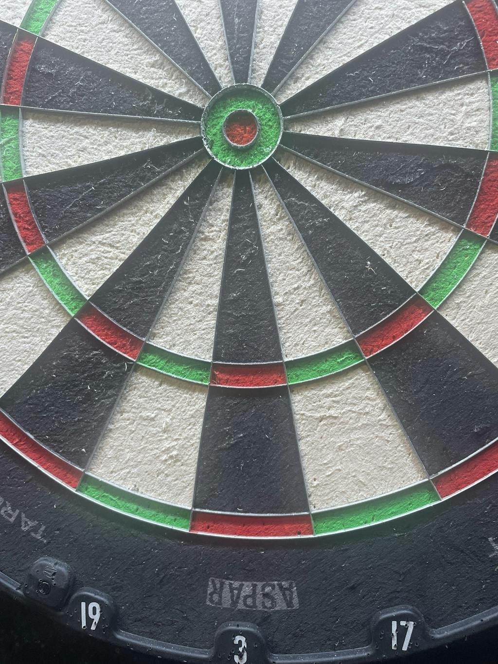 Target Aspar Professional Steel Tip Dartboard