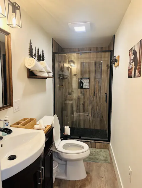 Cavare Series 48" x 71" Black Framed Pivot Shower Door – Easy Access & Watertight Seal