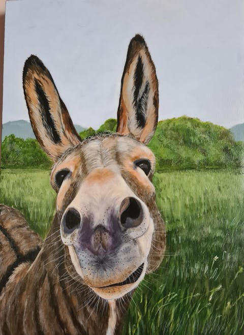 Stretch Canvas (20mm)