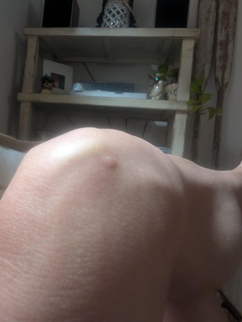 Sun Repair Supplement