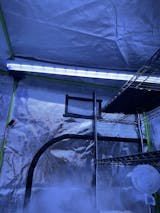 Integrated Strip T5 4FT LED Mushroom Grow Light – Blue Sun Spectrum –  Active Grow