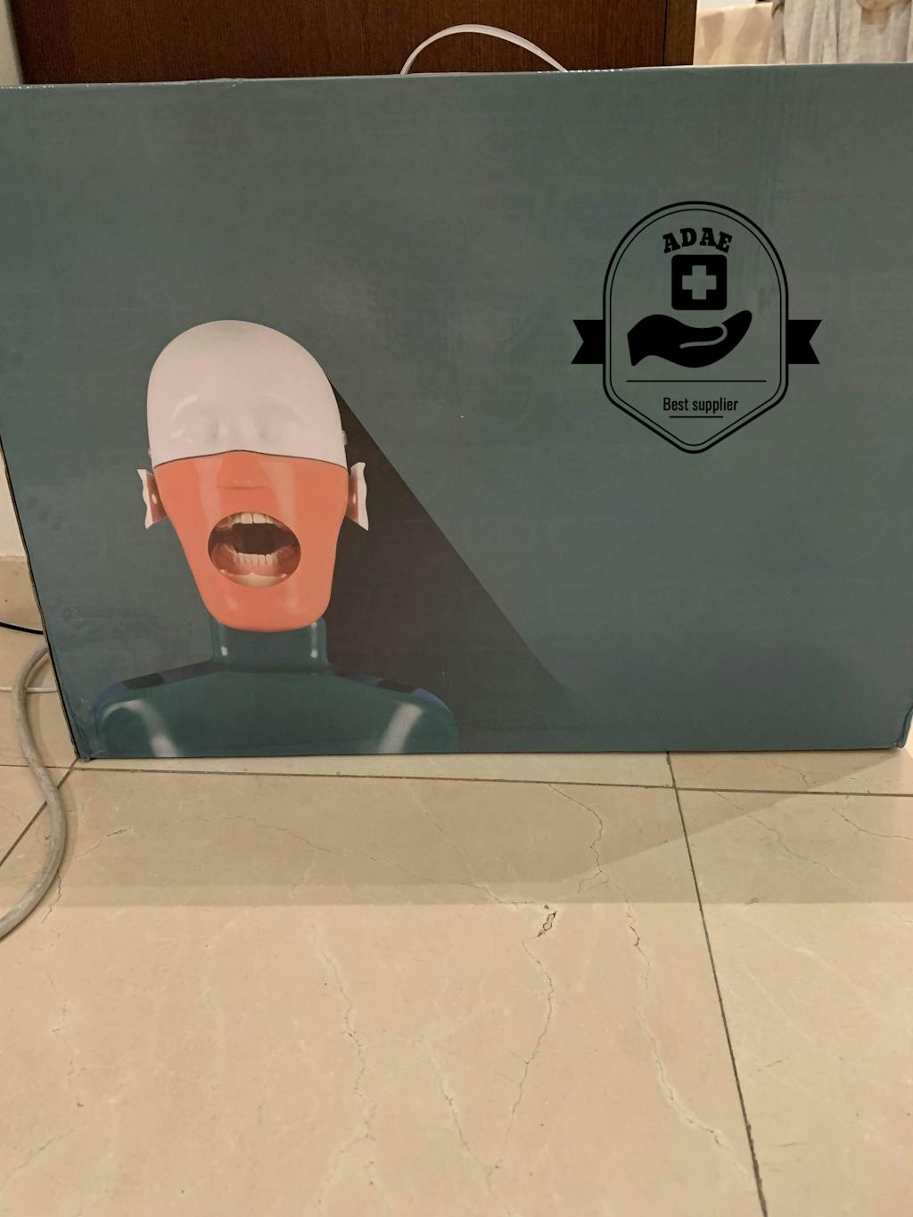 ADAE AD2 torso dental manikin phantom head (With straps)