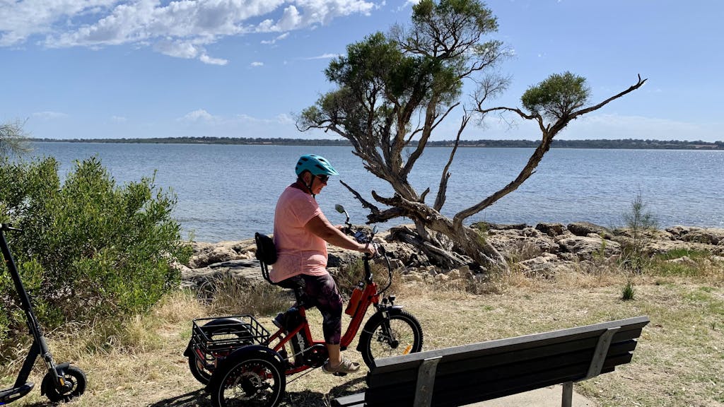 Citytri E-310 Foldable eTrike