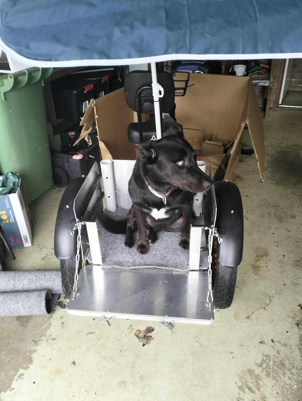 Triketan M-330F Folding eTrike