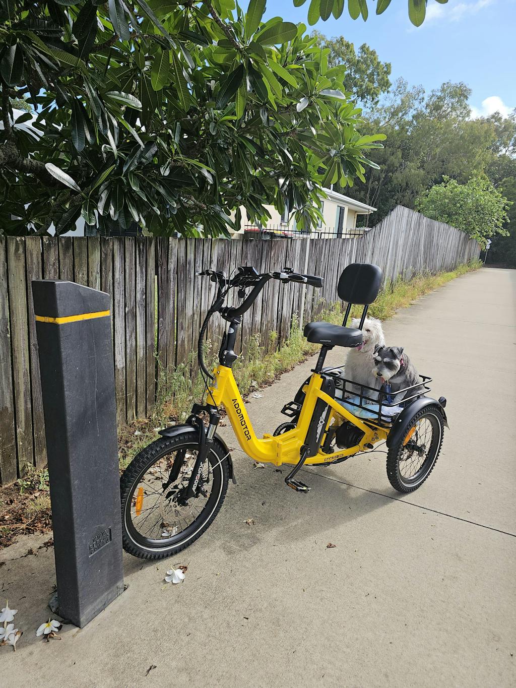 Citytri E-310 Foldable eTrike