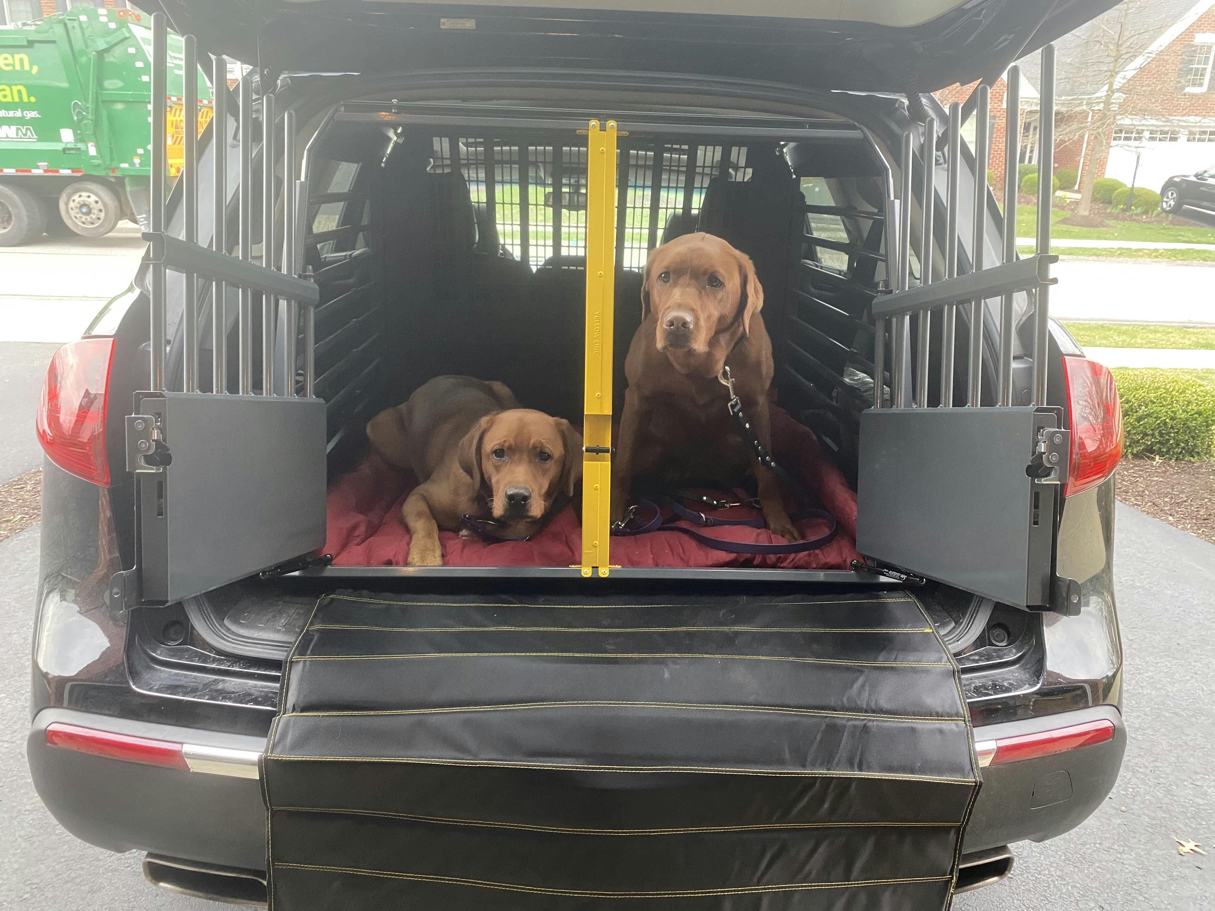 Variocage Double Crate Crash Tested Dog Cage for SUVs AdeoPets