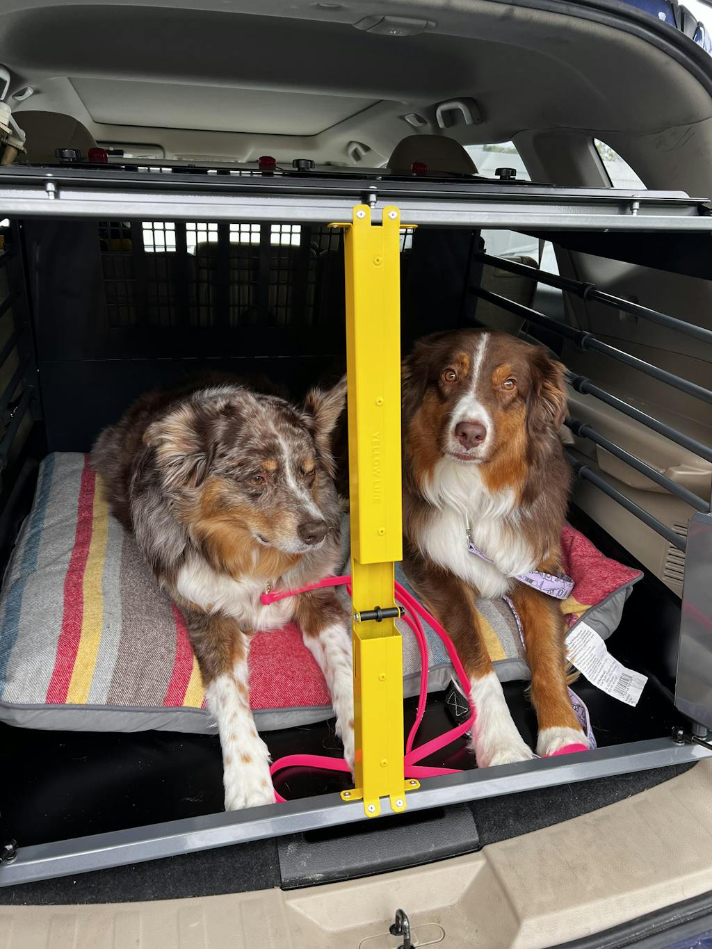 Variocage Double Crate Crash Tested Dog Cage for SUVs AdeoPets