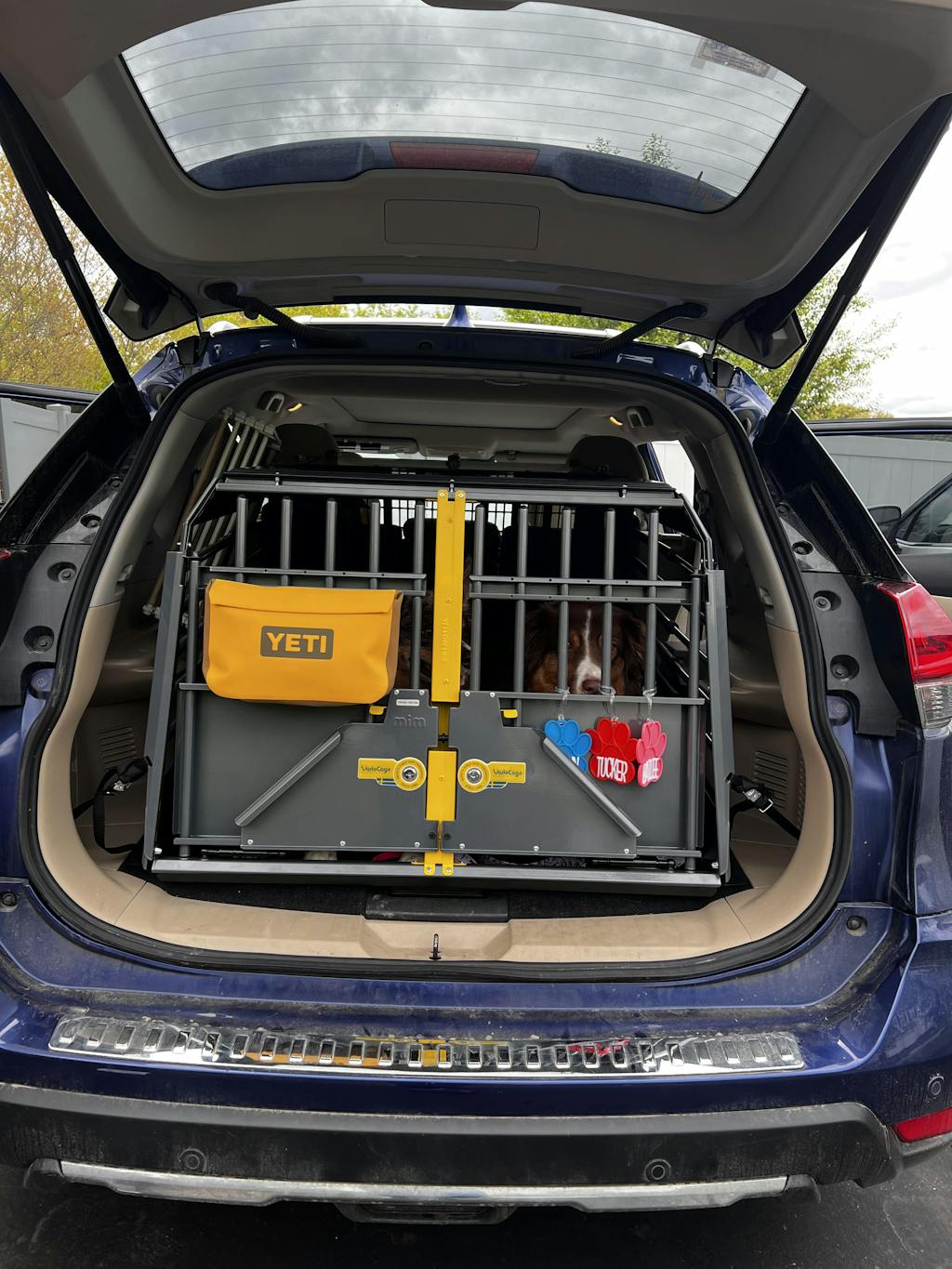Variocage Double Crate Crash Tested Dog Cage for SUVs AdeoPets