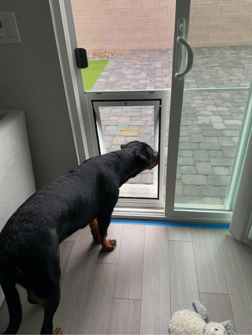 Security Boss Pet Door for Sliding Screen Doors AdeoPets