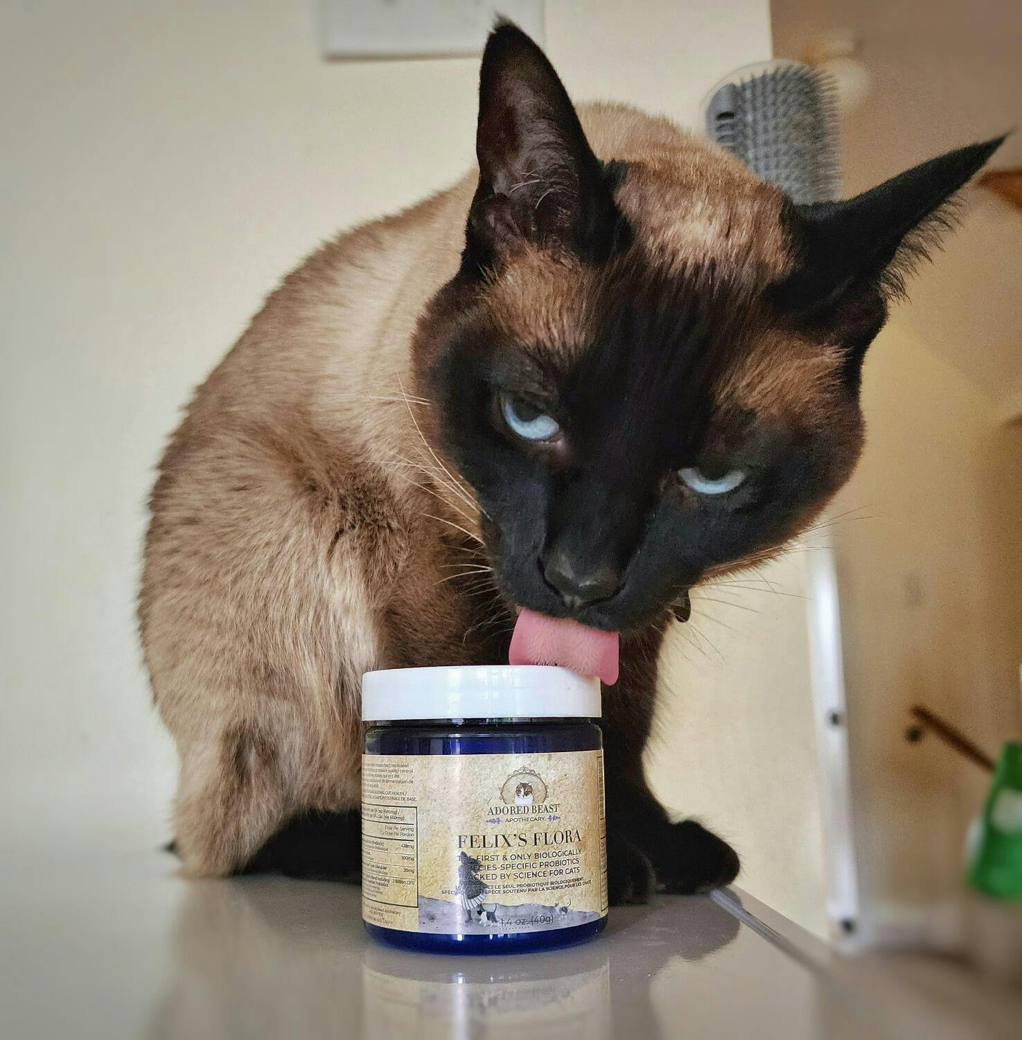 Felix's Flora | Adored Beast Apothecary