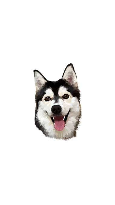 커스텀 펫자수 힐링후디 [UPGRADE]