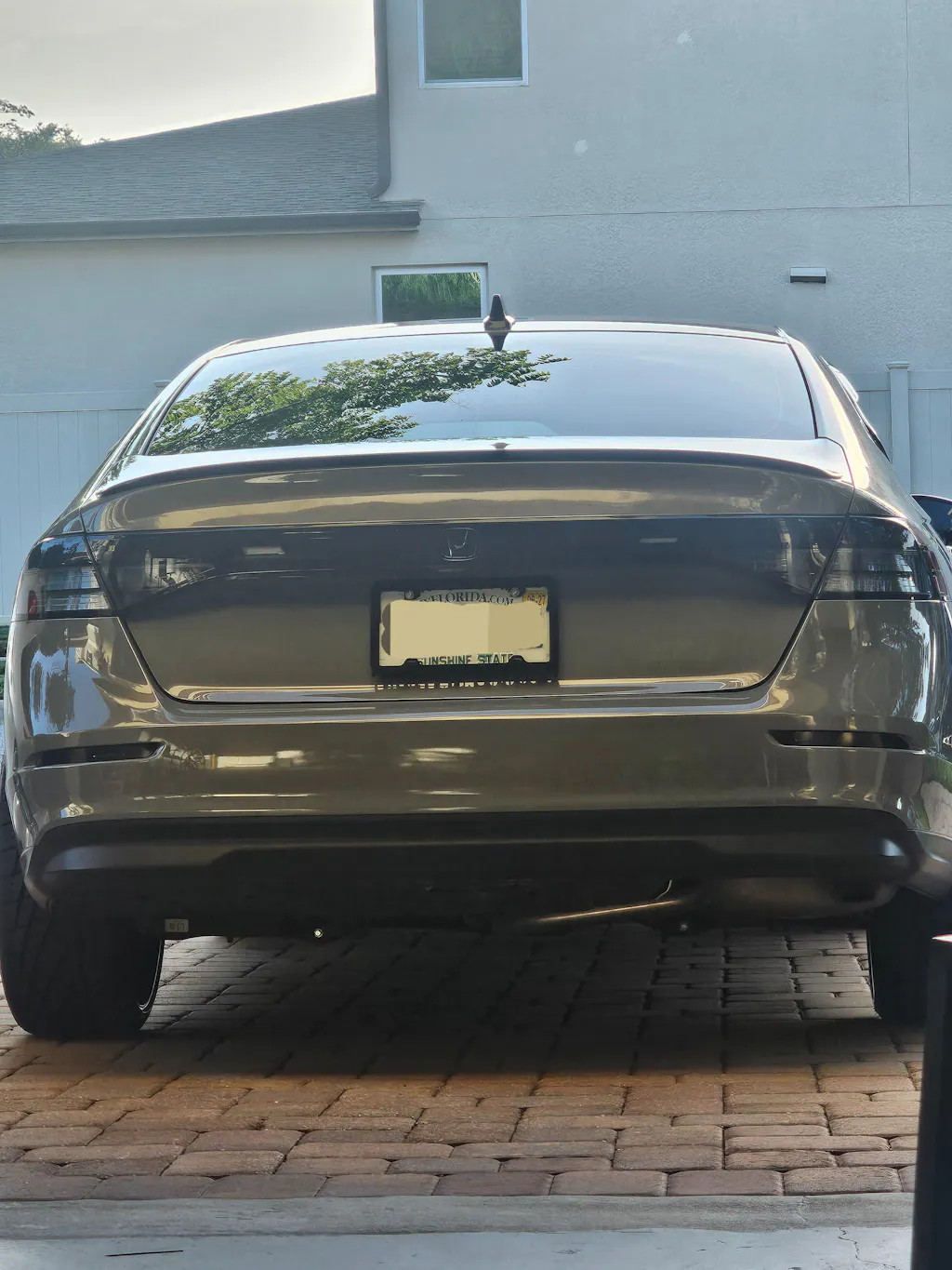 Rear Bumper Reflector Tint Pre-cut Overlay compatible with 2023+ Honda Accord 11th Gen