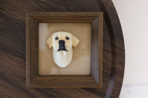 Aevumpet Custom Hand-Painted Pet Plaster Photo Frame – Personalized Pet Keepsake