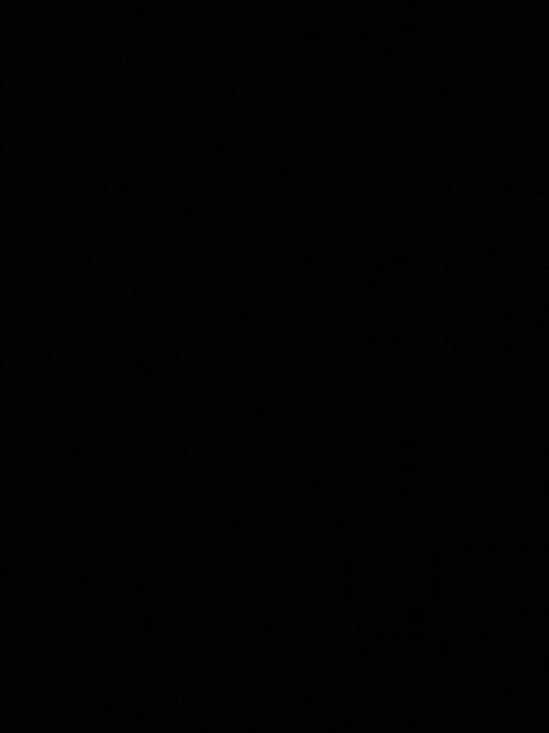 Fear of God Essentials Core Collection Hoodie Stretch Limo