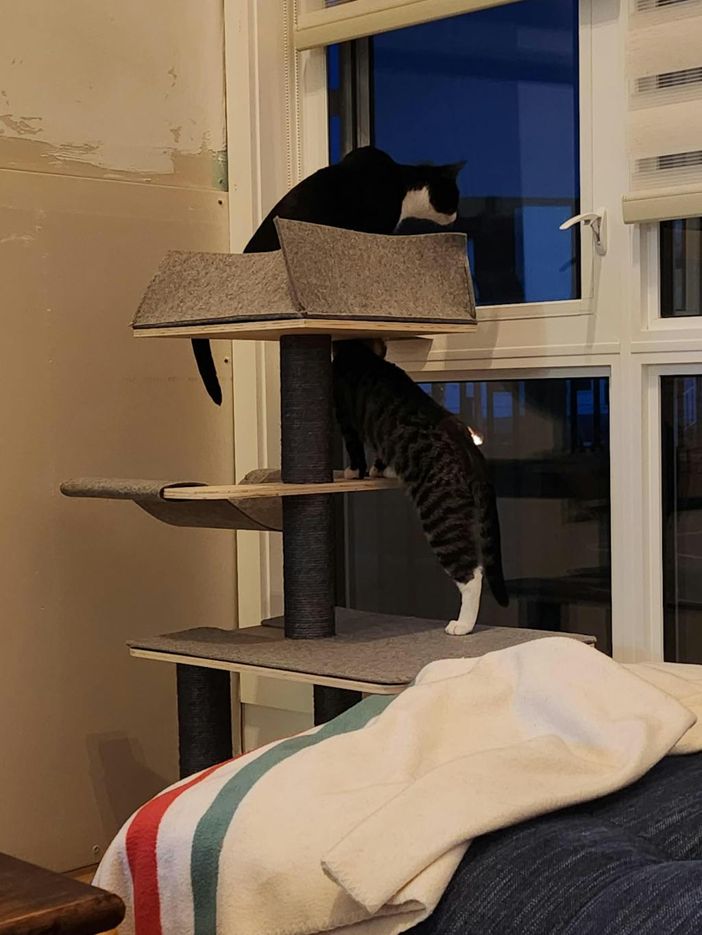 Luna Plywood Cat Tree AGILE