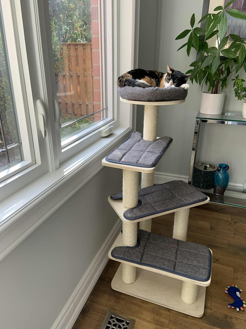 Felix - Plywood Cat Tree – AGILE