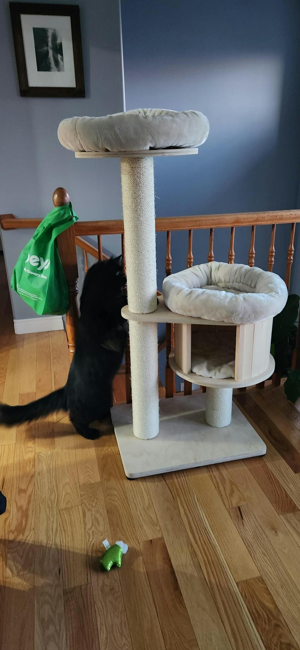 Ollie 130 cm Plywood Cat Tree AGILE
