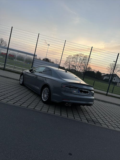 Big Daddy Trockentuch 1400GSM