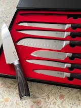 Signature 7-Piece Kitchen Knife Set with Stainless Steel Knife Holder –  Aikido Steel