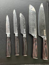 Aikido Signature 5-Piece High Carbon Stainless Steel Knife Set In Assorted  Sizes