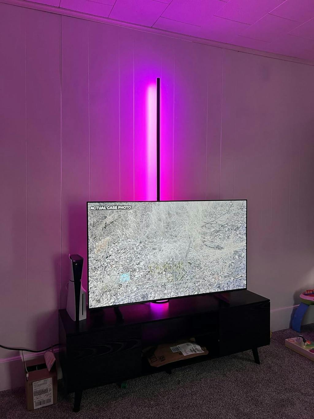 Smart RGBIC Floor Lamp with App & Voice Control for Living Room