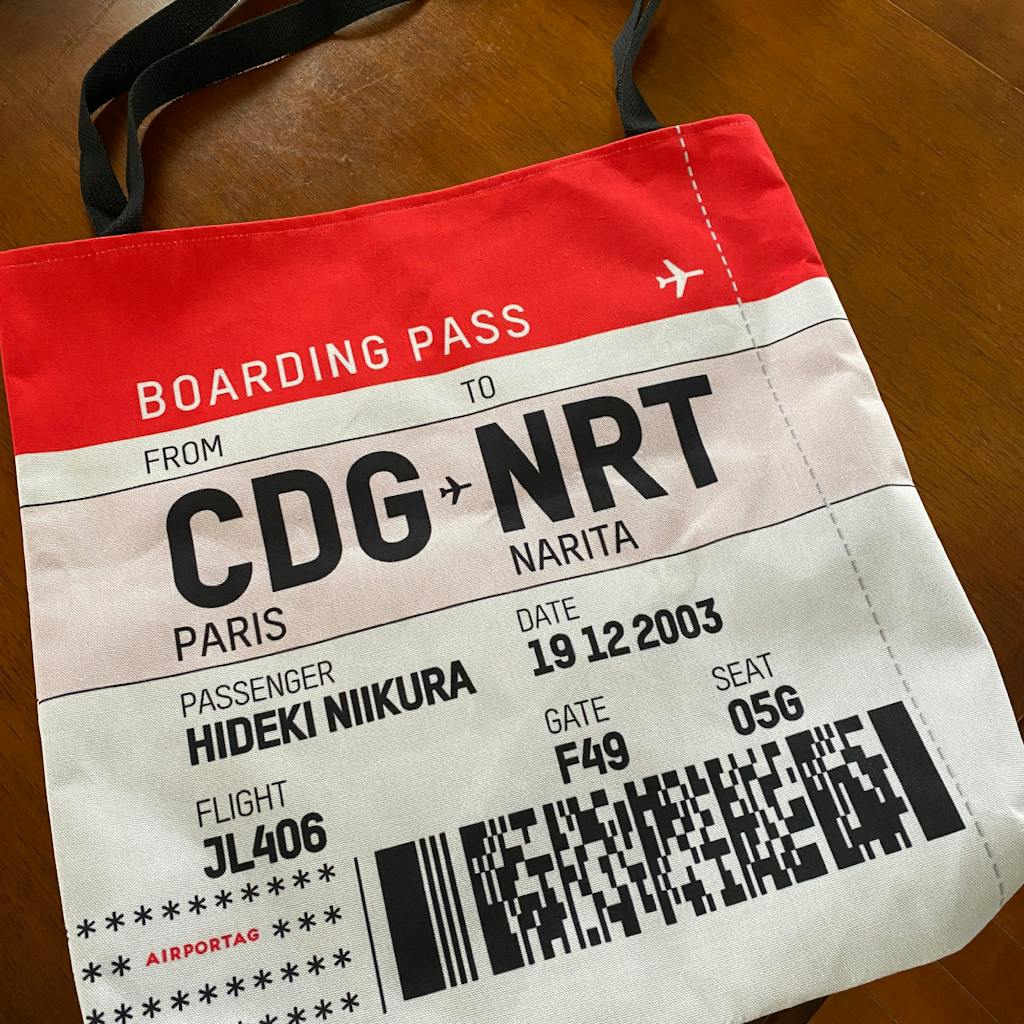 20 x 20 airport bag